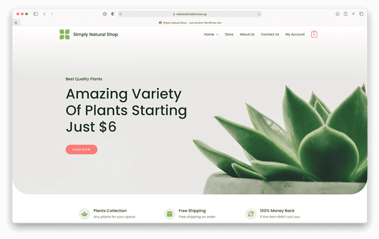 Websites 15 website9 screenshot 1