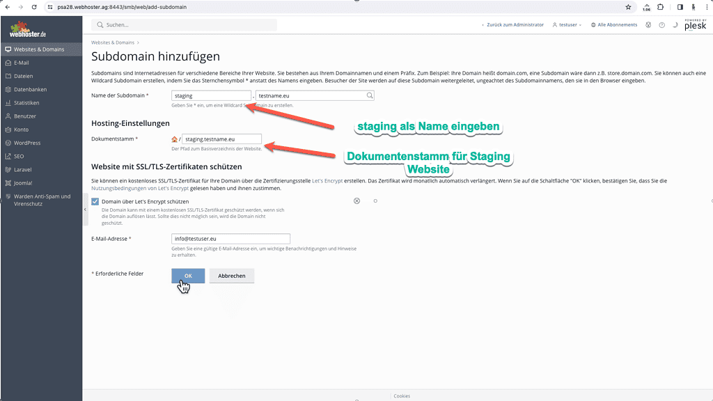 Staging Domain erstellen